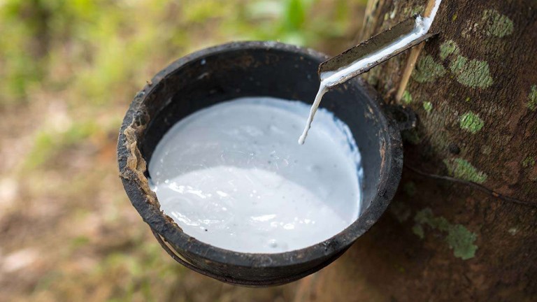 MINI Sustainability – responsible supply chain management – natural rubber